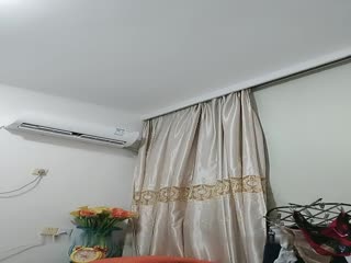 情趣用品推销员